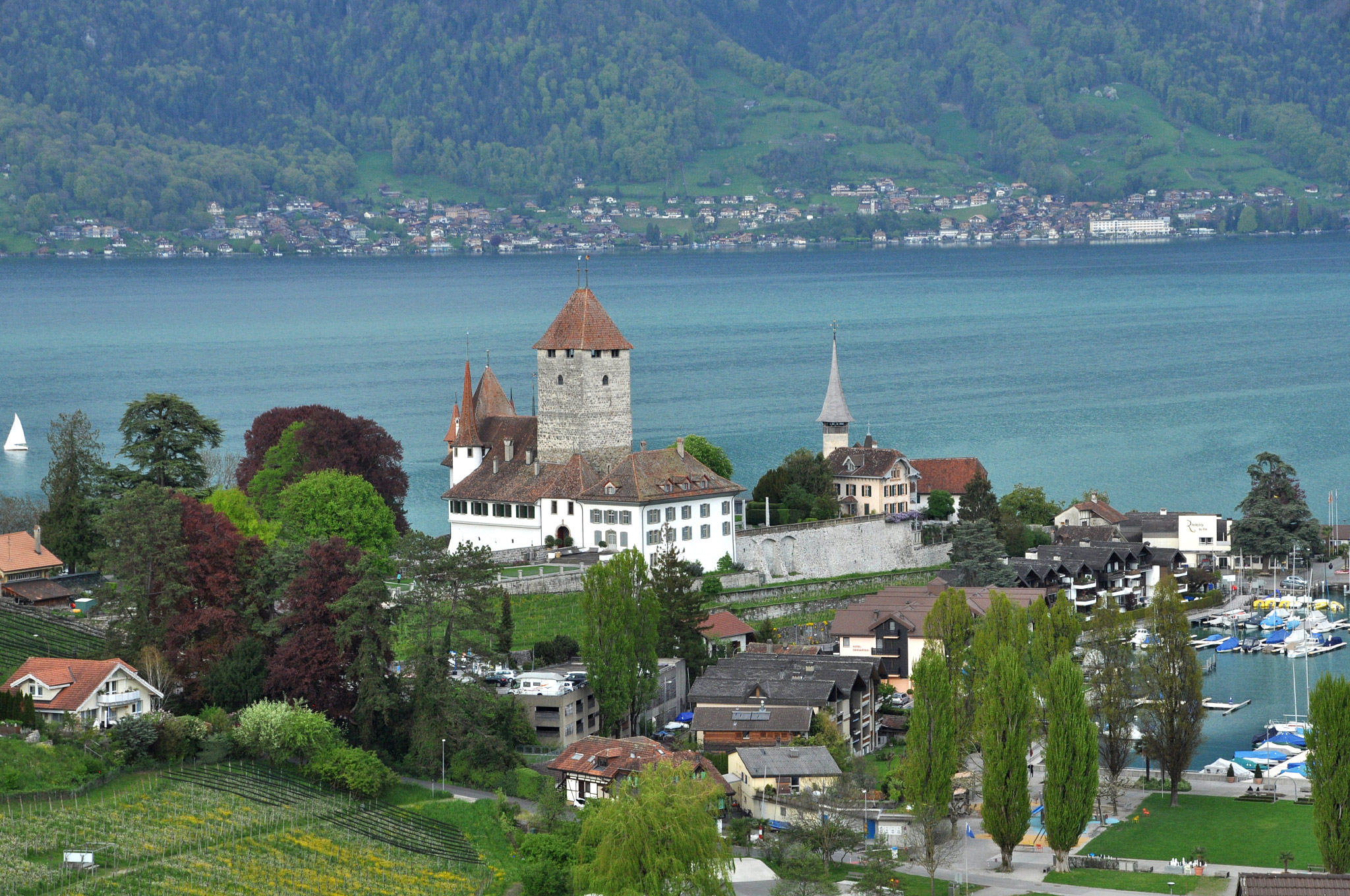 Spiez
